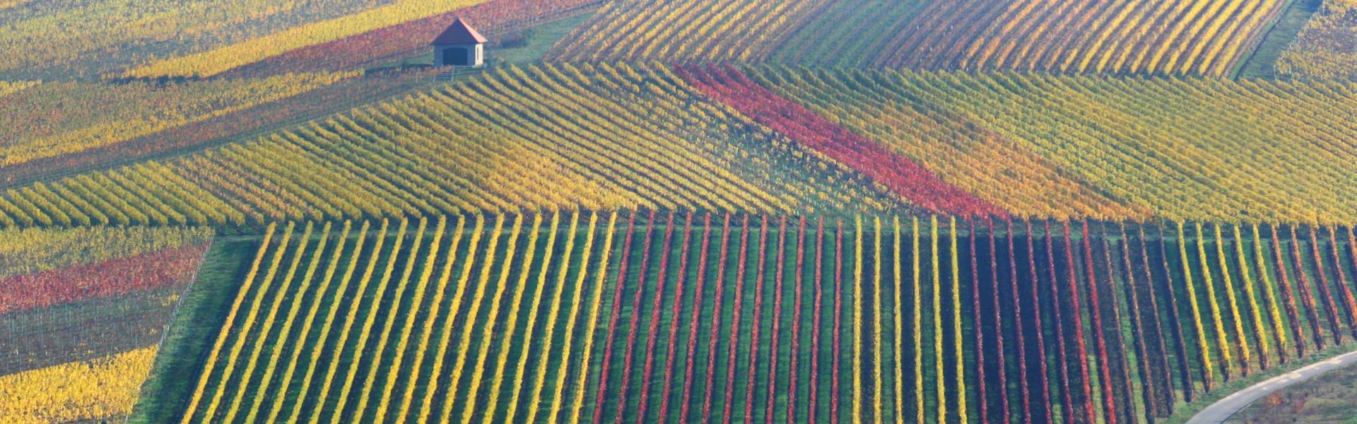 Mainfranken Würzburg Schweinfurg Rundflug